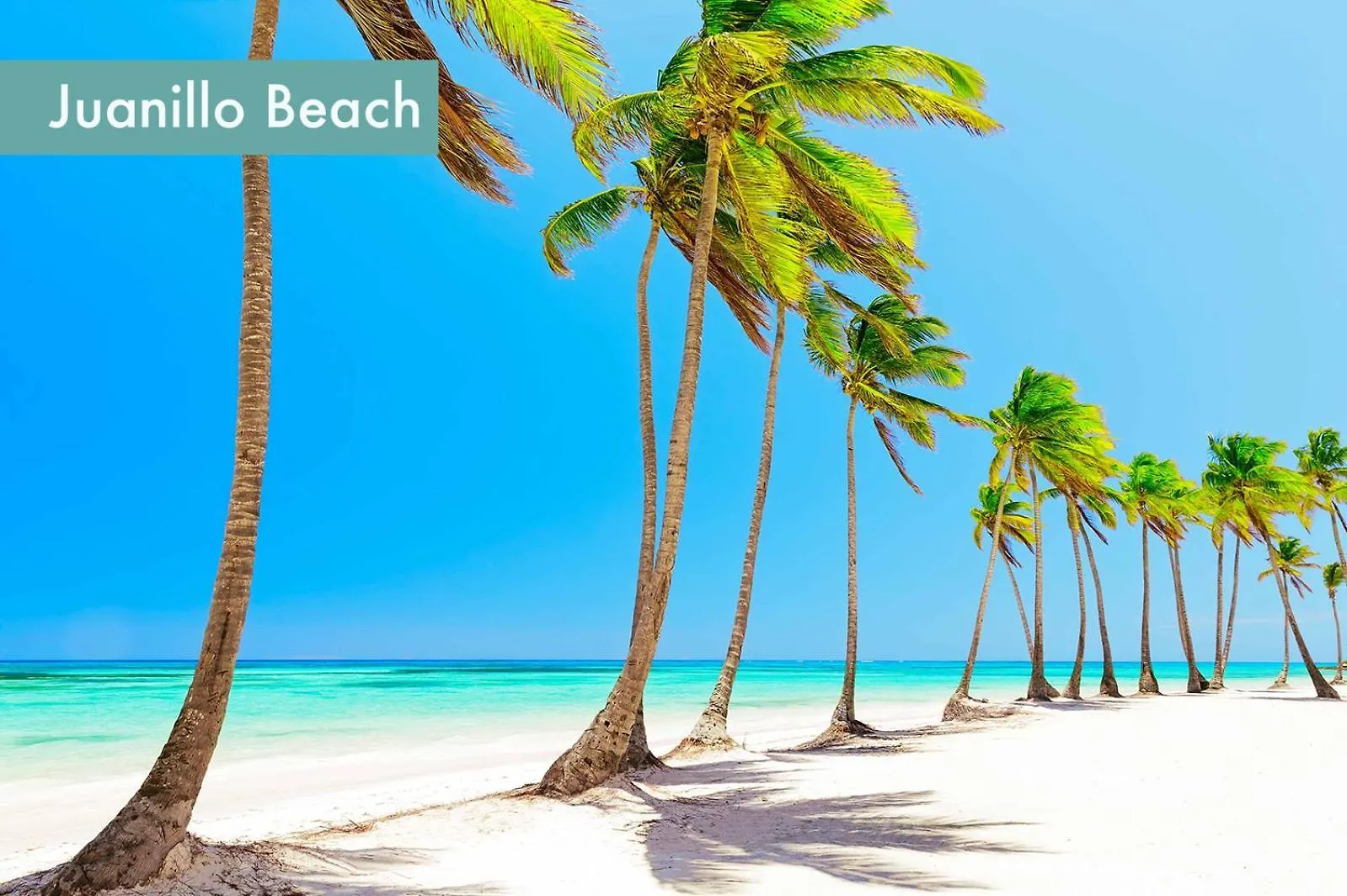 Tropical Relaxing 2 Bedroom Unit With Picuzzi Punta Cana Dominicaanse Republiek